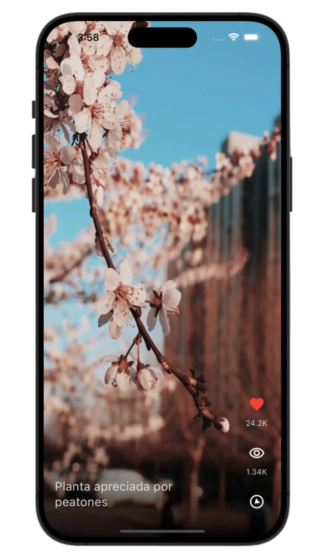 toktik app - captura 2